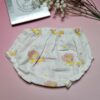 Premium Muslin Frock & Bloomers Set – "Hola Amigo Lion"
